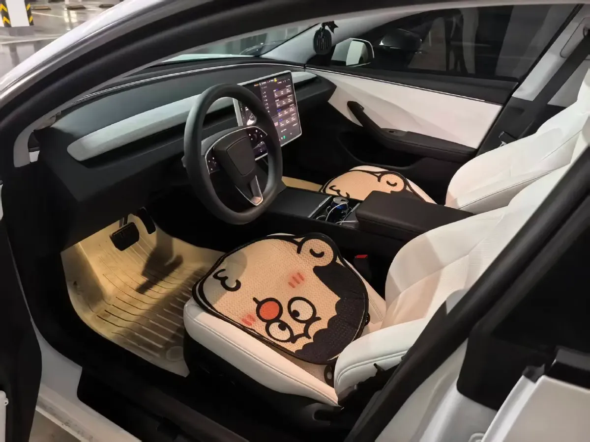 2025 Tesla Model 3 BEV 62.5KWH,autocango,china used car exporter,china ev exporter,chinese used car exporter,chinese used ev exporter