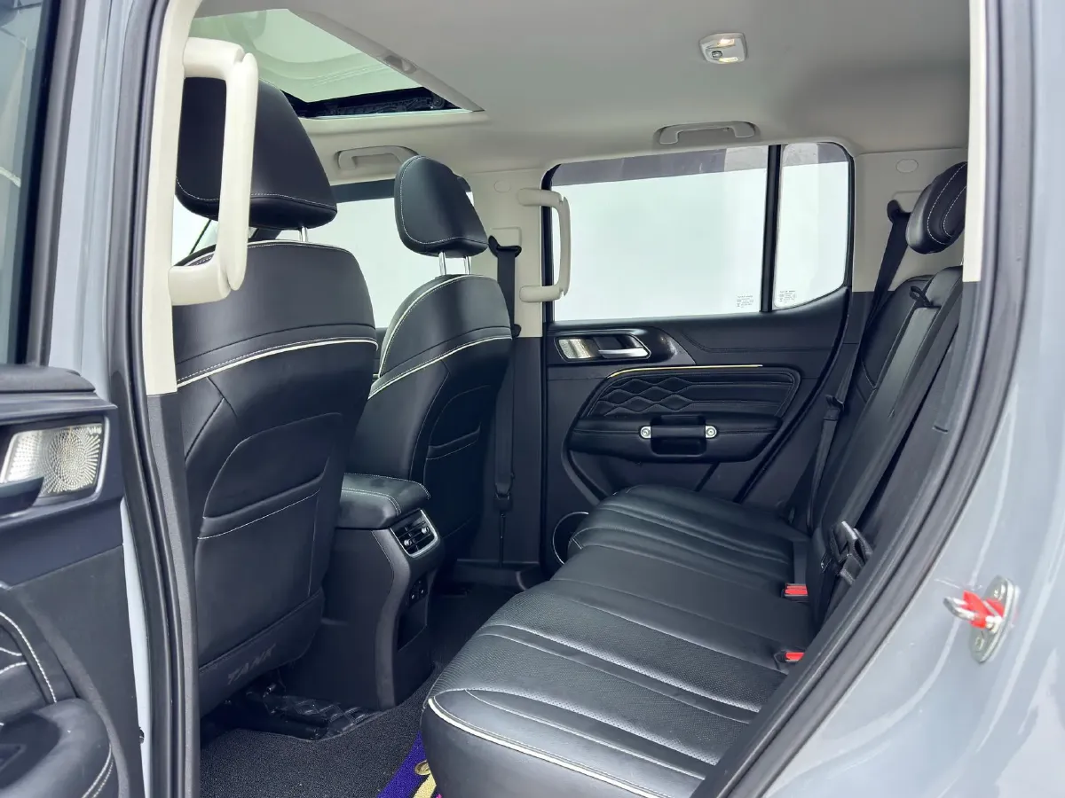 2024 Tank 300 2.0T 227HP L4 8AT,autocango,china used car exporter,china ev exporter,chinese used car exporter,chinese used ev exporter