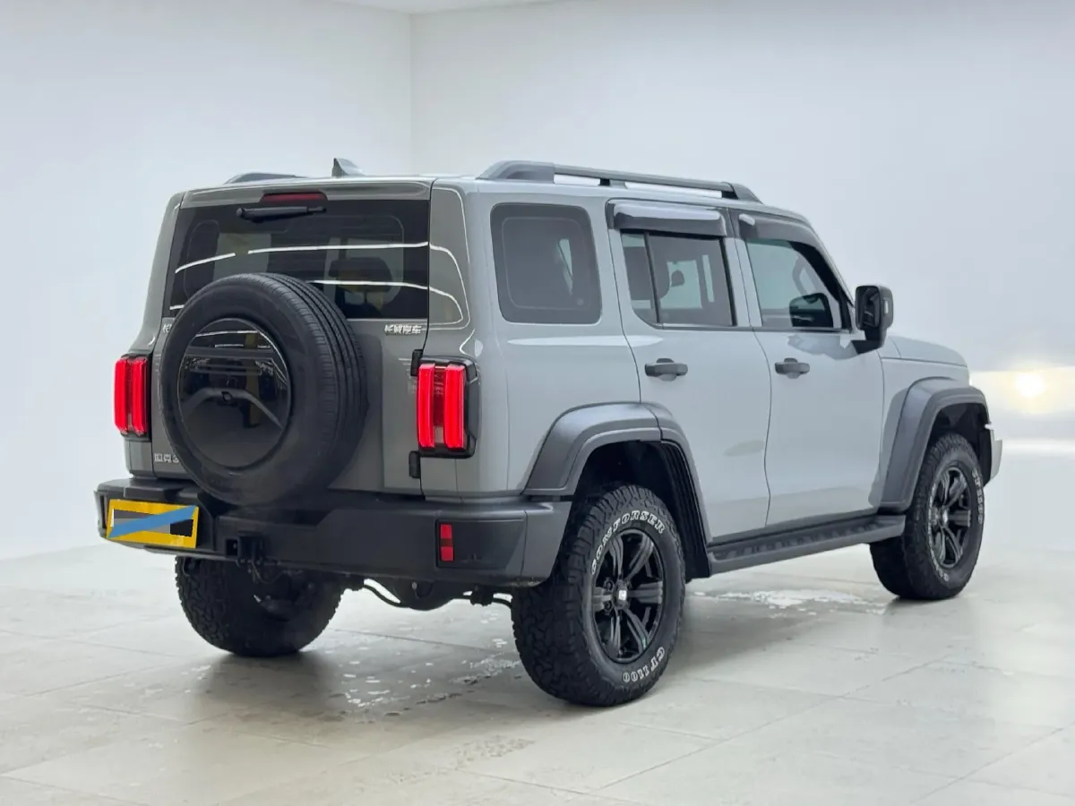 2024 Tank 300 2.0T 227HP L4 8AT,autocango,china used car exporter,china ev exporter,chinese used car exporter,chinese used ev exporter