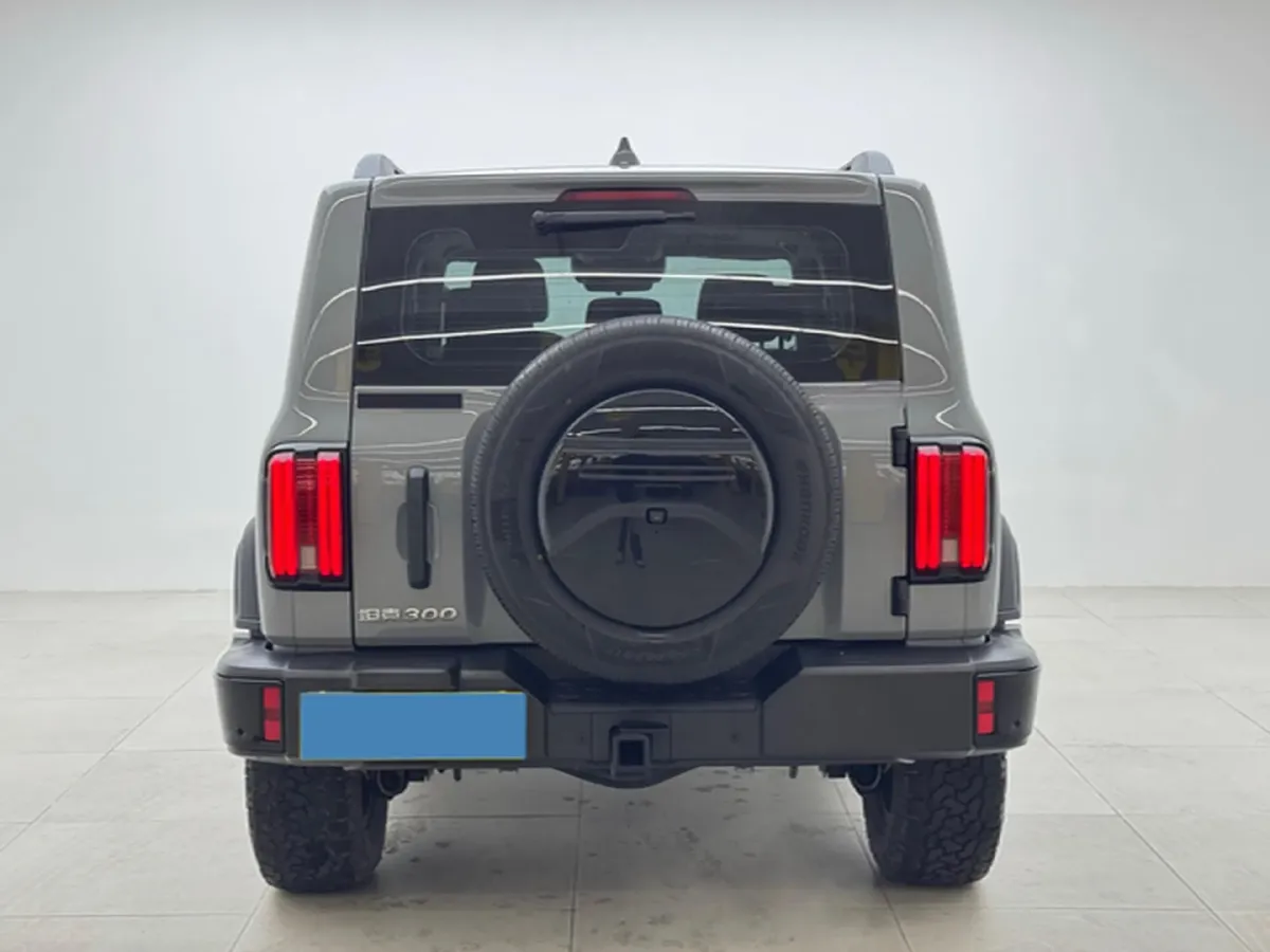 2024 Tank 300 2.0T 227HP L4 8AT,autocango,china used car exporter,china ev exporter,chinese used car exporter,chinese used ev exporter