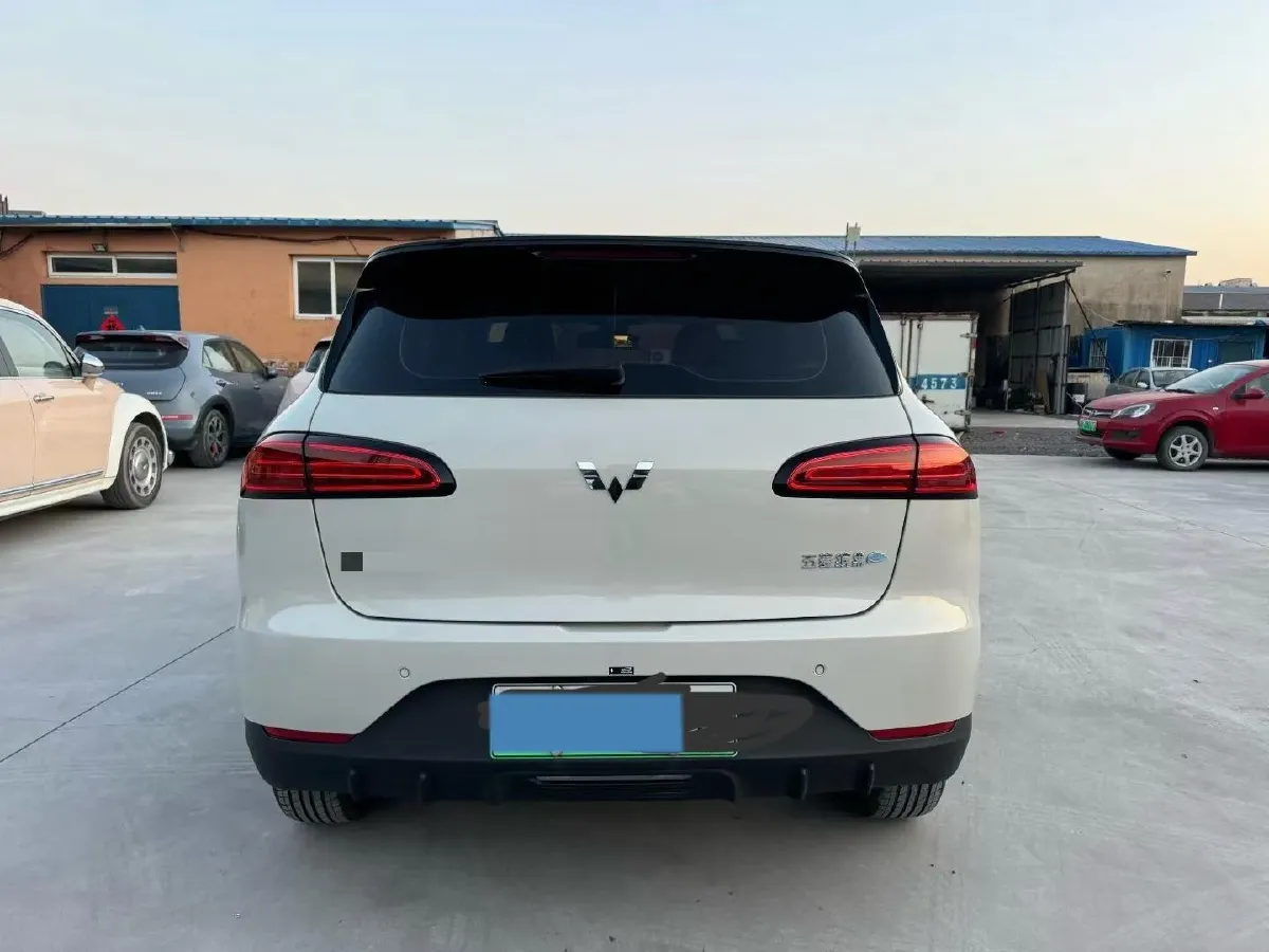 2024 WuLing BinGuoPLUS BEV 50.6KWH,autocango,china used car exporter,china ev exporter,chinese used car exporter,chinese used ev exporter