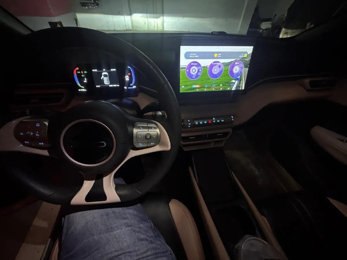 2025 BYD Seagull BEV 30.08KWH,autocango,china used car exporter,china ev exporter,chinese used car exporter,chinese used ev exporter