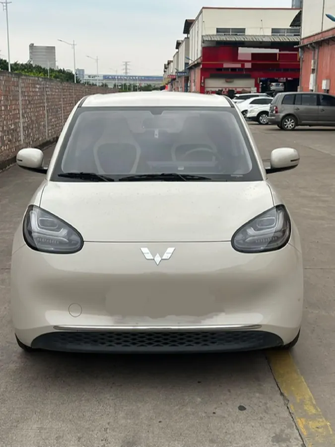 2024 WuLing BinGuo BEV 31.9KWH,autocango,china used car exporter,china ev exporter,chinese used car exporter,chinese used ev exporter