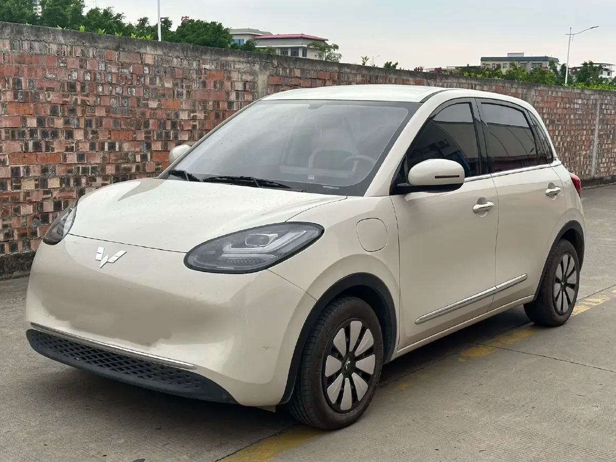 2024 WuLing BinGuo BEV 31.9KWH,autocango,china used car exporter,china ev exporter,chinese used car exporter,chinese used ev exporter
