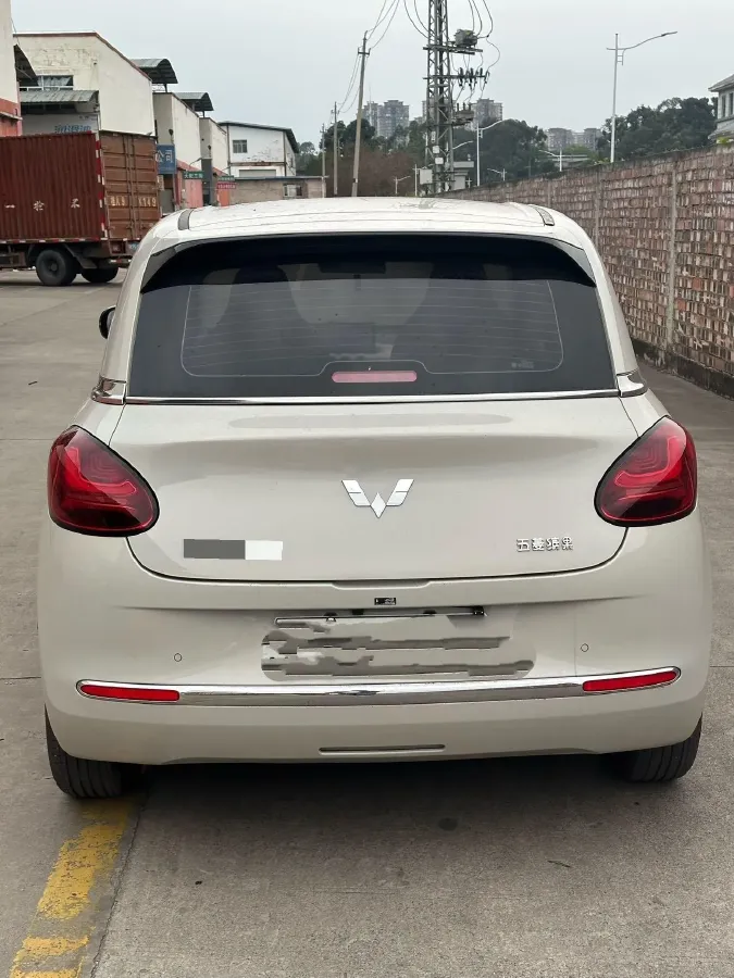 2024 WuLing BinGuo BEV 31.9KWH,autocango,china used car exporter,china ev exporter,chinese used car exporter,chinese used ev exporter