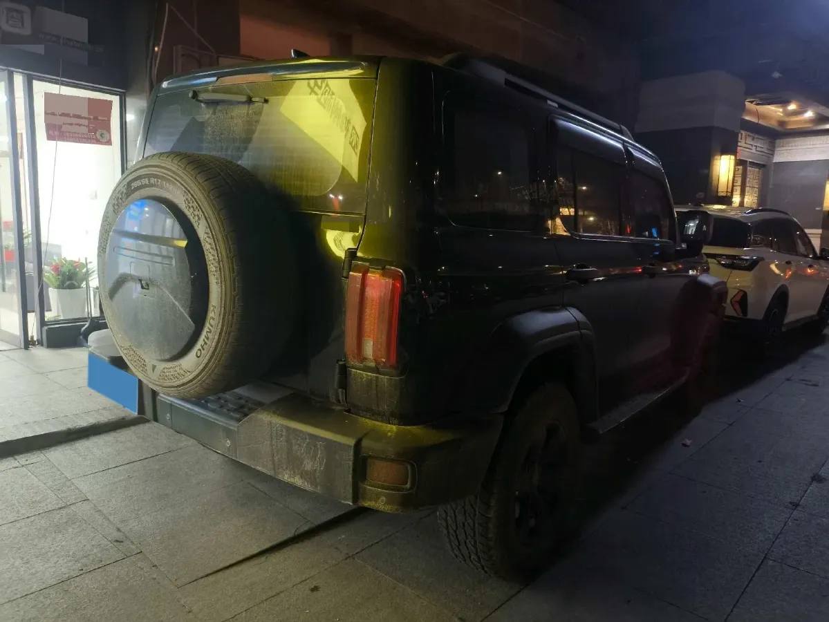 2021 Tank 300 2.0T 227HP L4 8AT,autocango,china used car exporter,china ev exporter,chinese used car exporter,chinese used ev exporter