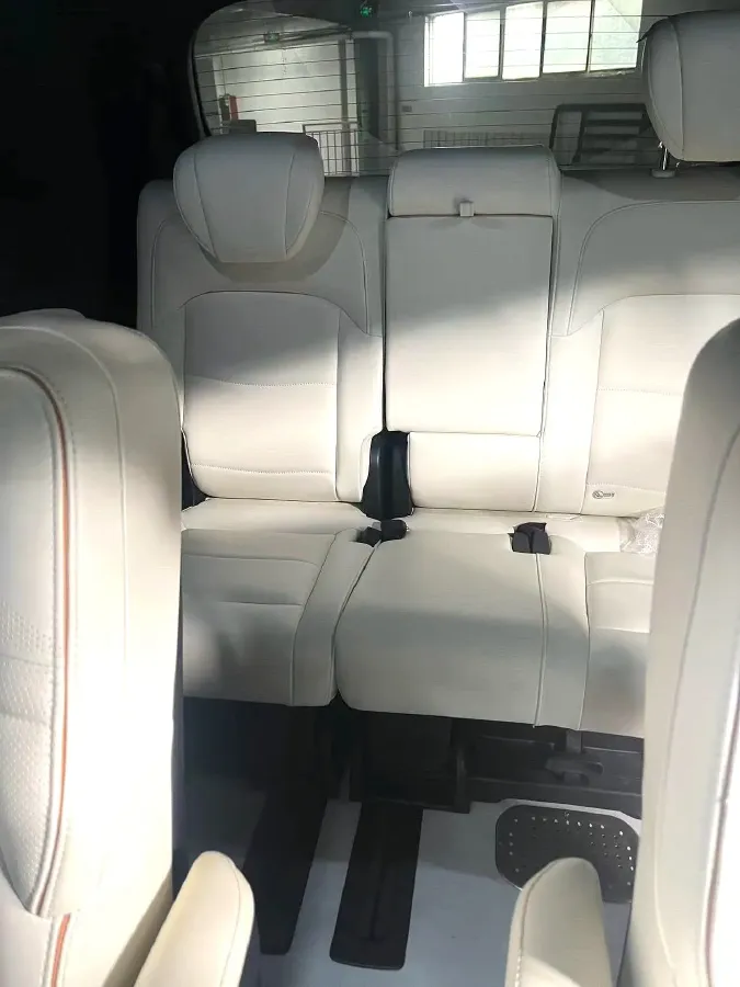 2023 GAC Trumpchi M8 2.0T 252HP L4 8AT,autocango,china used car exporter,china ev exporter,chinese used car exporter,chinese used ev exporter