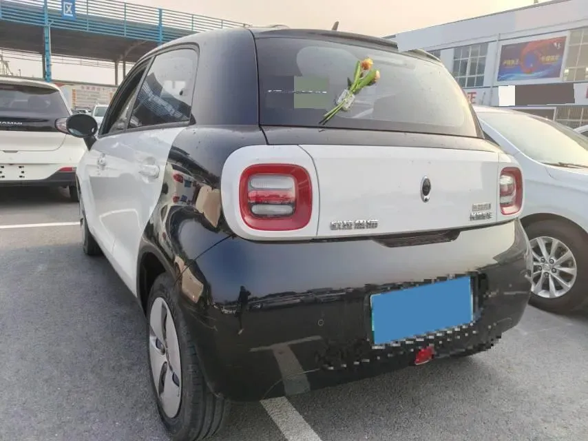 2019 Ora BlackCat BEV 28.5KWH,autocango,china used car exporter,china ev exporter,chinese used car exporter,chinese used ev exporter