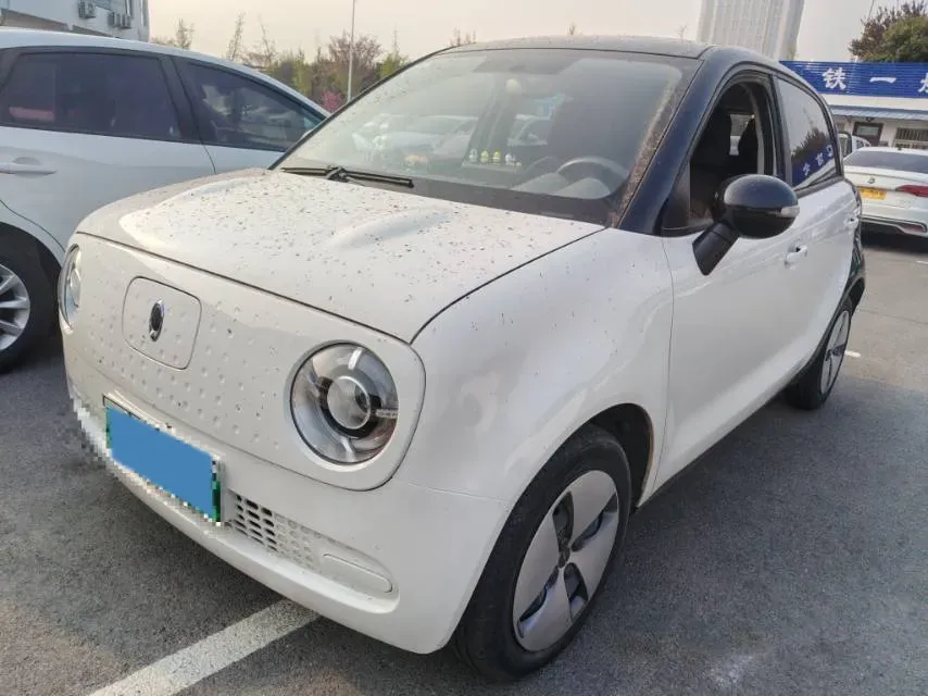 2019 Ora BlackCat BEV 28.5KWH,autocango,china used car exporter,china ev exporter,chinese used car exporter,chinese used ev exporter