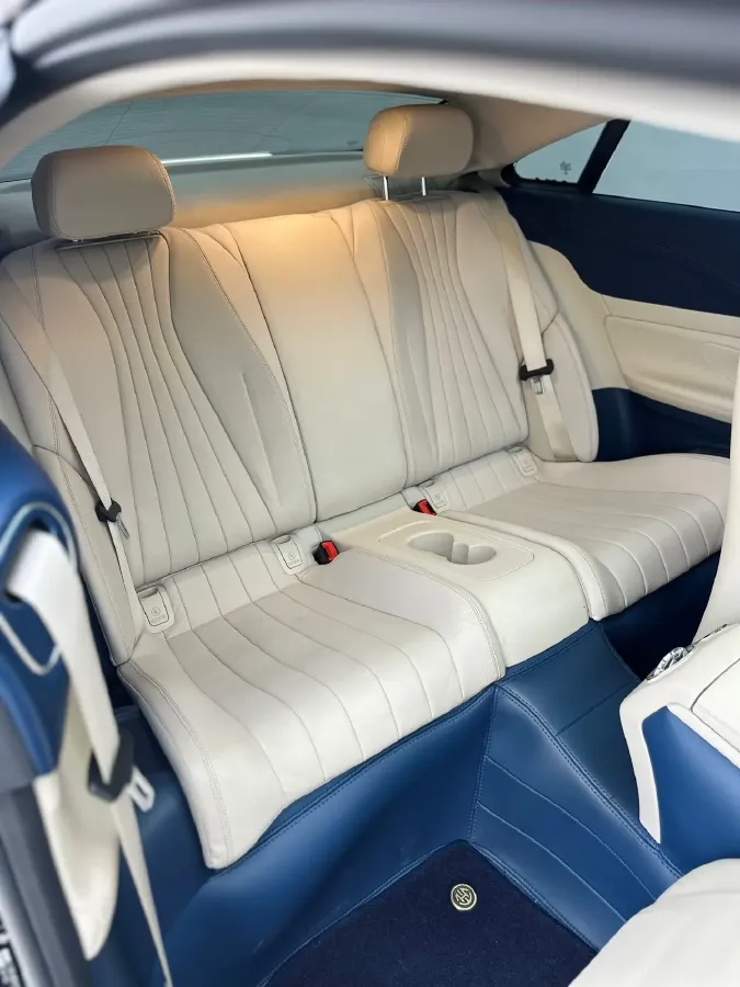 2020 Mercedes-Benz E Class 2.0T 258HP L4 9AT,autocango,china used car exporter,china ev exporter,chinese used car exporter,chinese used ev exporter