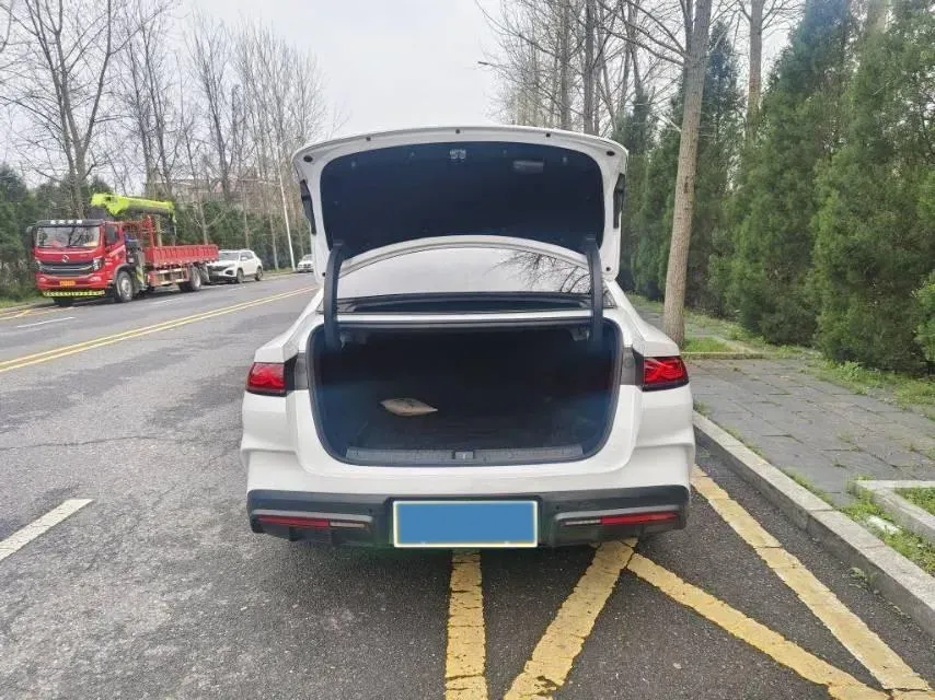 2024 BYD QinL 1.5L 101HP L4 E-CVT PHEV 10.08KWH,autocango,china used car exporter,china ev exporter,chinese used car exporter,chinese used ev exporter