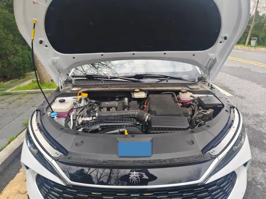 2024 BYD QinL 1.5L 101HP L4 E-CVT PHEV 10.08KWH,autocango,china used car exporter,china ev exporter,chinese used car exporter,chinese used ev exporter