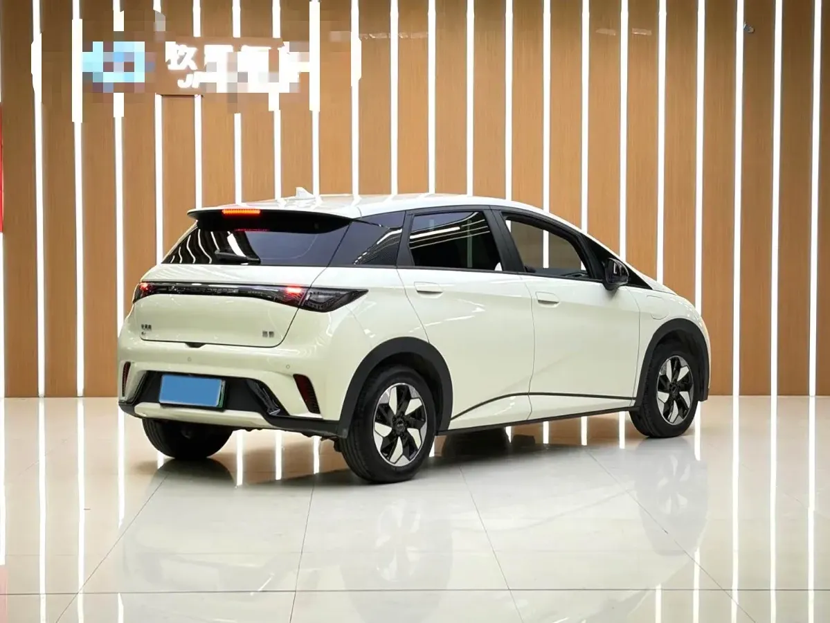 2025 BYD Dolphin BEV 44.928KWH,autocango,china used car exporter,china ev exporter,chinese used car exporter,chinese used ev exporter