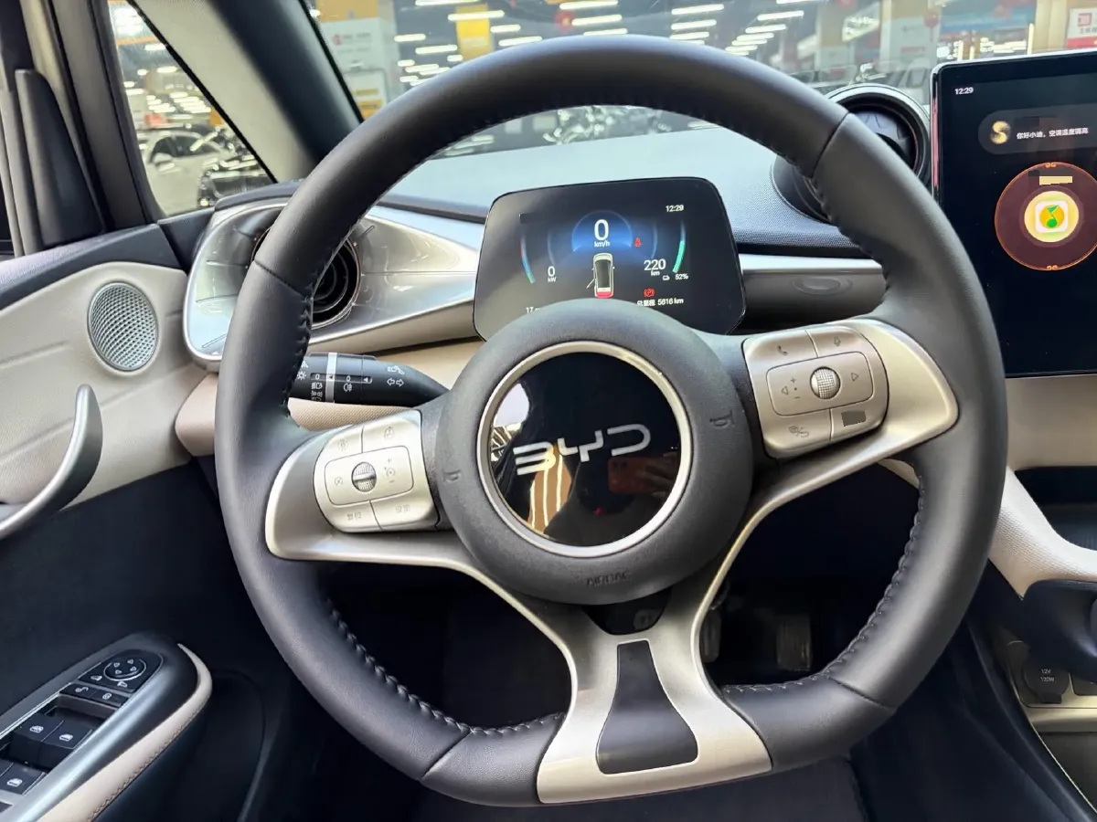 2025 BYD Dolphin BEV 44.928KWH,autocango,china used car exporter,china ev exporter,chinese used car exporter,chinese used ev exporter