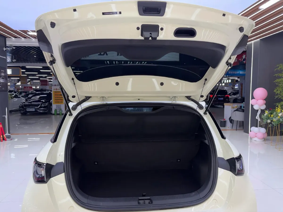 2025 BYD Dolphin BEV 44.928KWH,autocango,china used car exporter,china ev exporter,chinese used car exporter,chinese used ev exporter