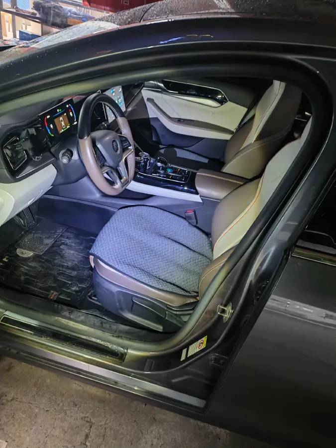 2023 BYD Qin Plus BEV 57.6KWH,autocango,china used car exporter,china ev exporter,chinese used car exporter,chinese used ev exporter