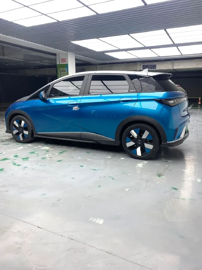 2021 BYD e2 BEV 43.2KWH,autocango,china used car exporter,china ev exporter,chinese used car exporter,chinese used ev exporter