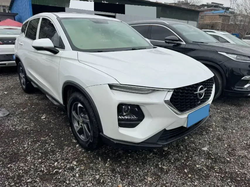 2019 HaiMa 8S 1.6T 195HP L4 6AT,autocango,china used car exporter,china ev exporter,chinese used car exporter,chinese used ev exporter