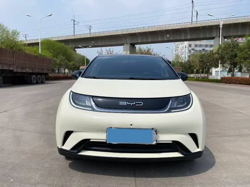2023 BYD Dolphin BEV 44.928KWH,autocango,china used car exporter,china ev exporter,chinese used car exporter,chinese used ev exporter