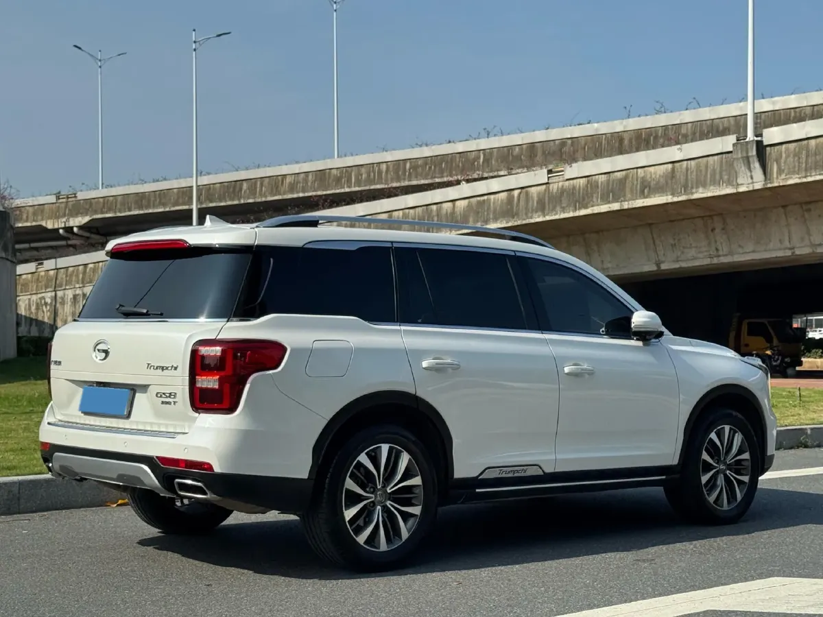 2020 GAC Trumpchi GS8 2.0T 252HP L4 6AT,autocango,china used car exporter,china ev exporter,chinese used car exporter,chinese used ev exporter