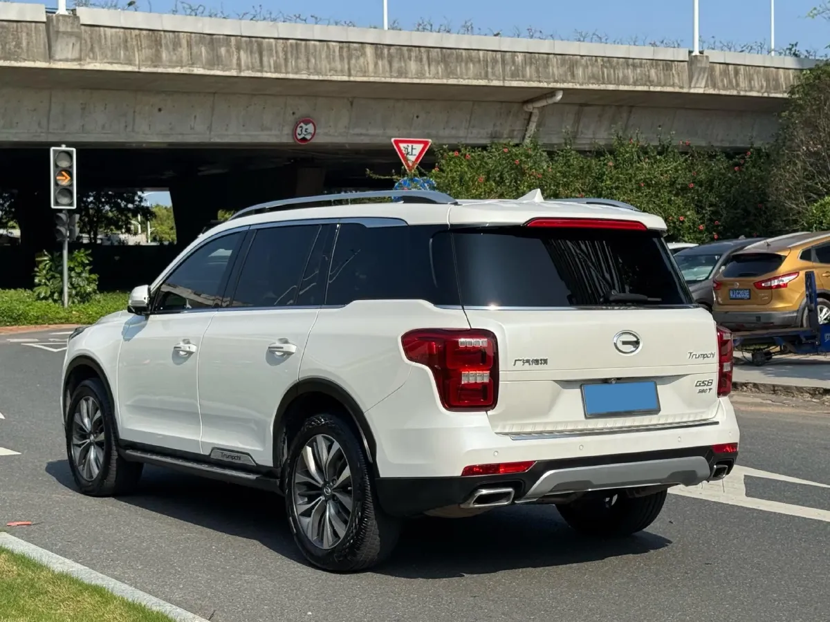 2020 GAC Trumpchi GS8 2.0T 252HP L4 6AT,autocango,china used car exporter,china ev exporter,chinese used car exporter,chinese used ev exporter