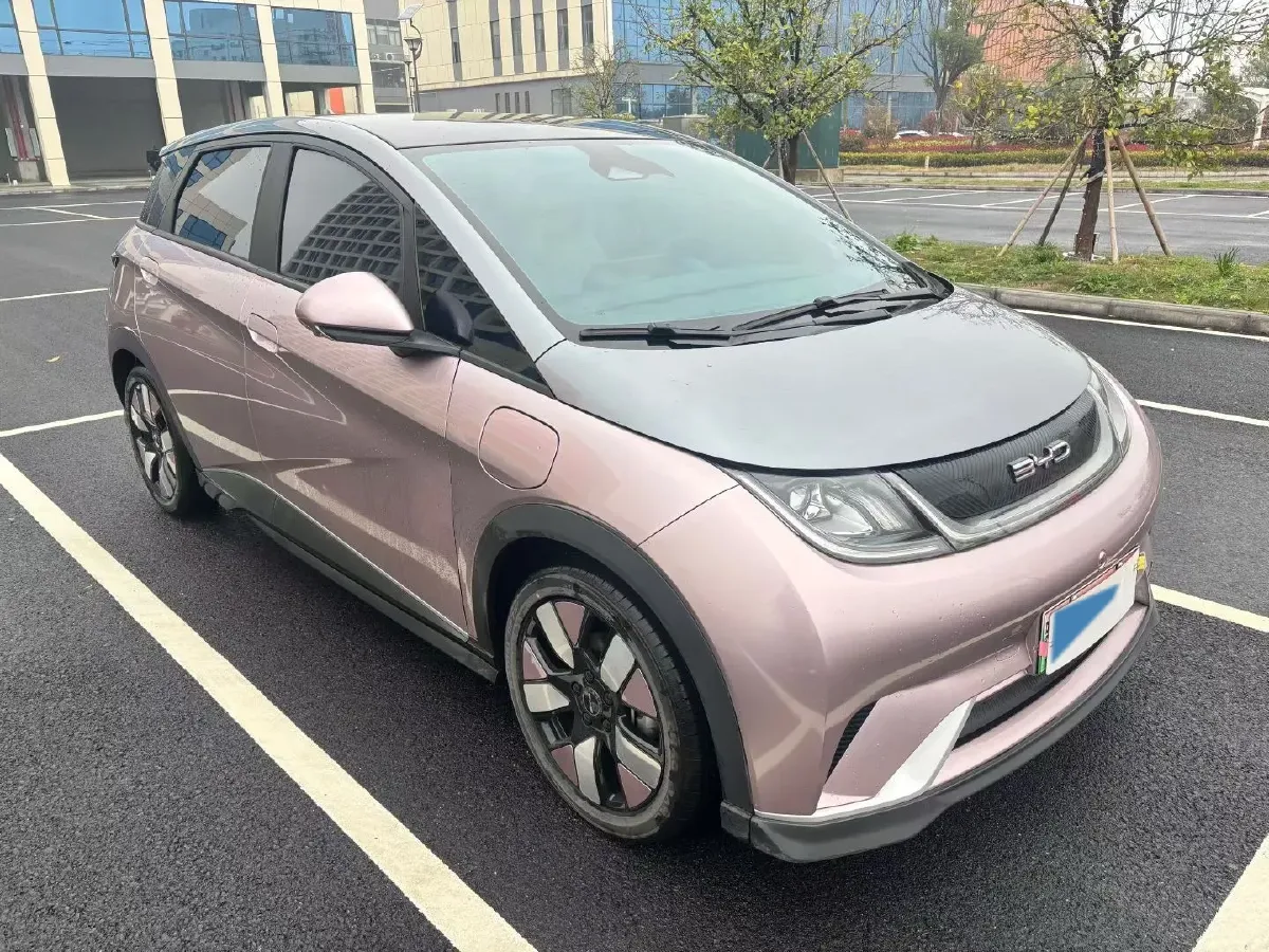 2021 BYD e2 BEV 43.2KWH,autocango,china used car exporter,china ev exporter,chinese used car exporter,chinese used ev exporter