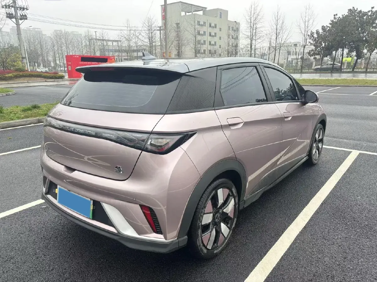 2021 BYD e2 BEV 43.2KWH,autocango,china used car exporter,china ev exporter,chinese used car exporter,chinese used ev exporter