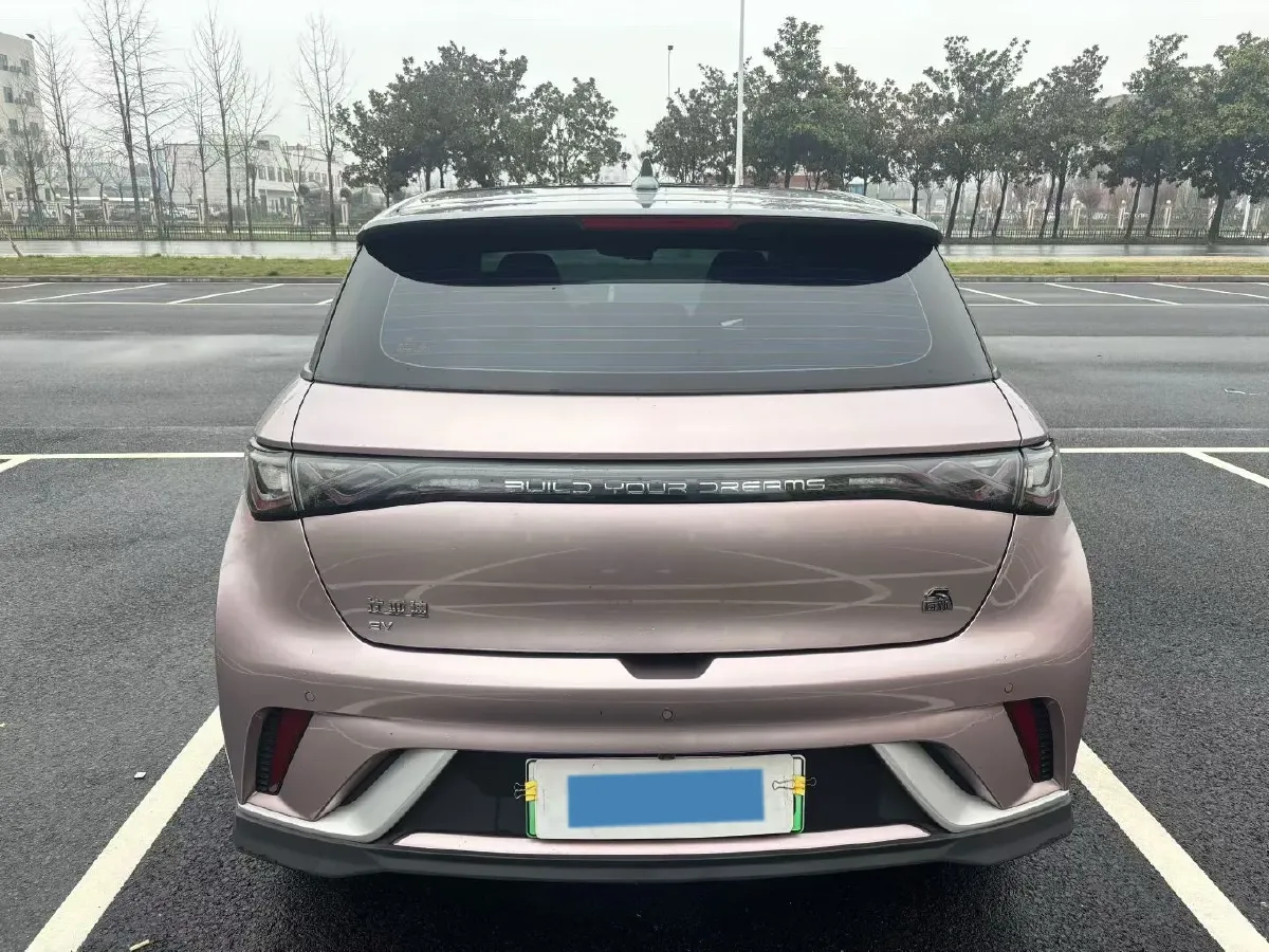 2021 BYD e2 BEV 43.2KWH,autocango,china used car exporter,china ev exporter,chinese used car exporter,chinese used ev exporter
