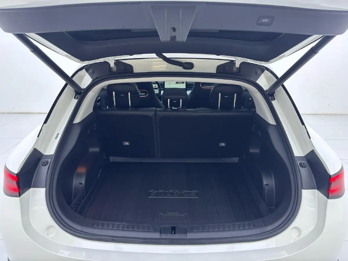 2024 Smart smart Elf 3 BEV 49KWH,autocango,china used car exporter,china ev exporter,chinese used car exporter,chinese used ev exporter