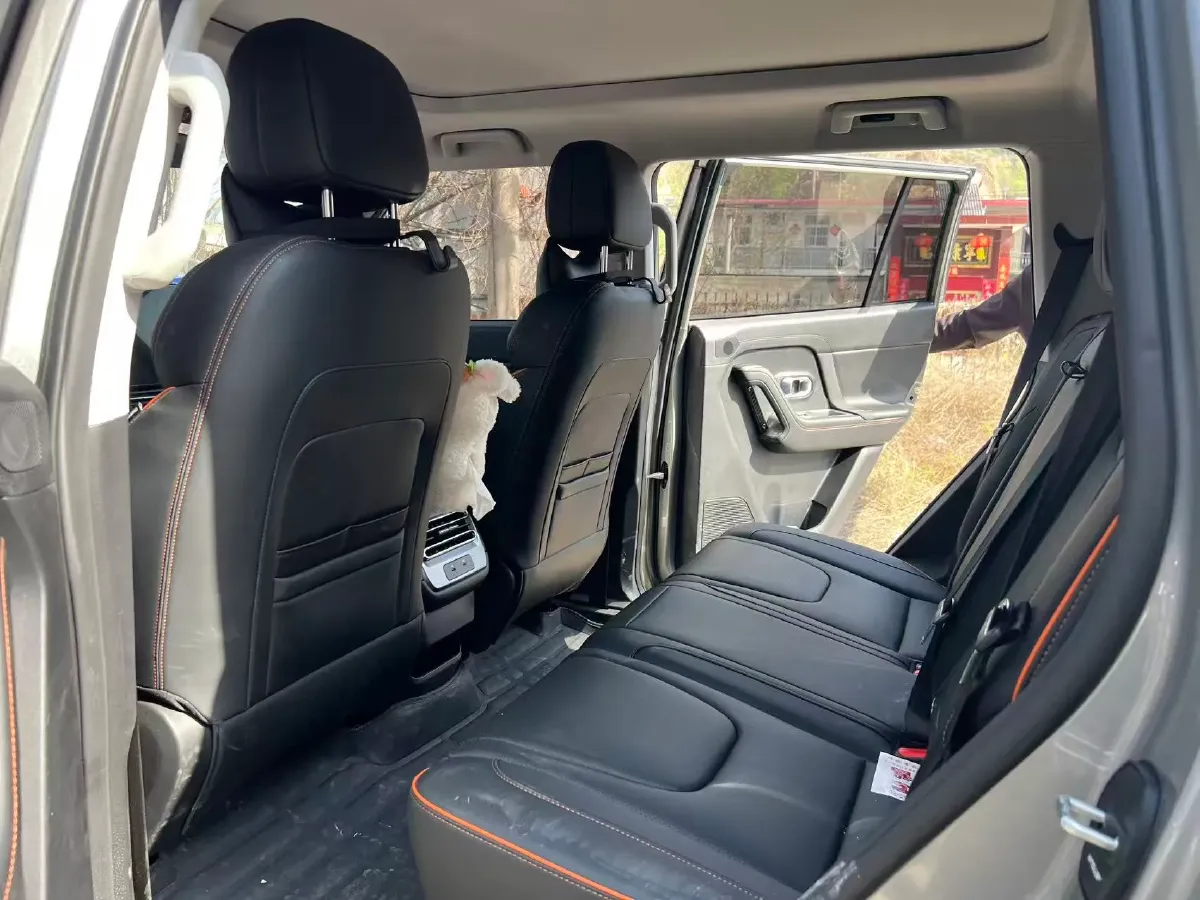 2025 Jetour Freeman 2.0T 254HP L4 8AT,autocango,china used car exporter,china ev exporter,chinese used car exporter,chinese used ev exporter