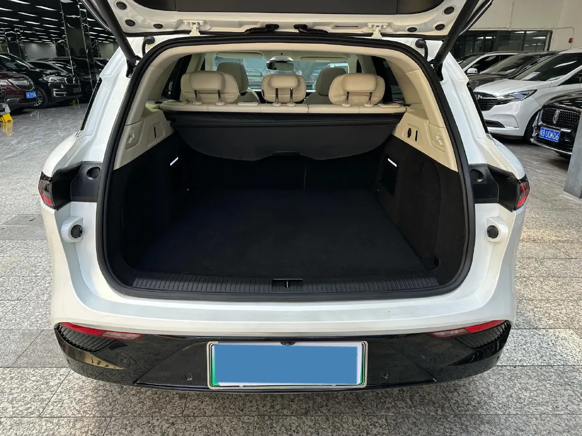 2021 Voyah FREE Range Extended 109HP REEV 33KWH,autocango,china used car exporter,china ev exporter,chinese used car exporter,chinese used ev exporter