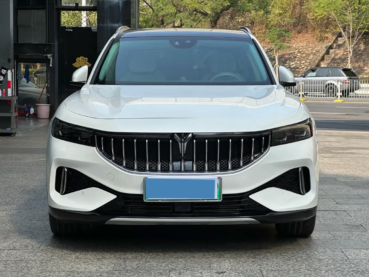 2021 Voyah FREE Range Extended 109HP REEV 33KWH,autocango,china used car exporter,china ev exporter,chinese used car exporter,chinese used ev exporter