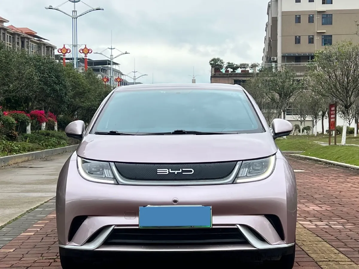 2023 BYD Dolphin BEV 44.928KWH,autocango,china used car exporter,china ev exporter,chinese used car exporter,chinese used ev exporter