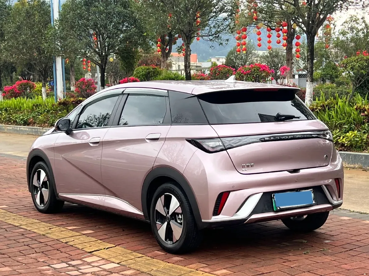 2023 BYD Dolphin BEV 44.928KWH,autocango,china used car exporter,china ev exporter,chinese used car exporter,chinese used ev exporter