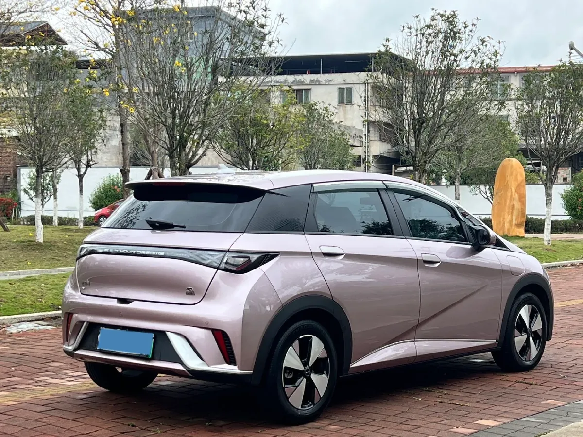 2023 BYD Dolphin BEV 44.928KWH,autocango,china used car exporter,china ev exporter,chinese used car exporter,chinese used ev exporter