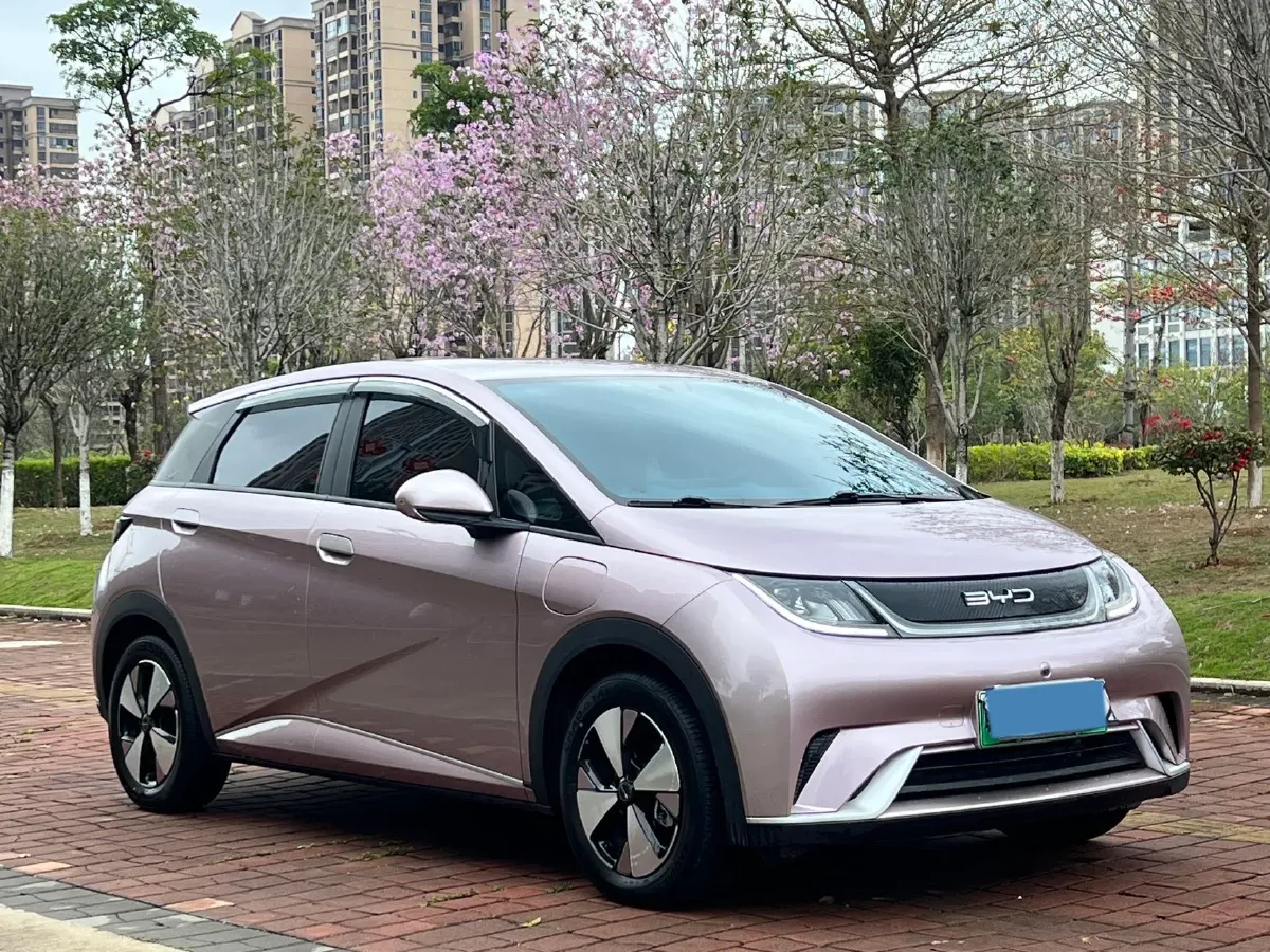 2023 BYD Dolphin BEV 44.928KWH,autocango,china used car exporter,china ev exporter,chinese used car exporter,chinese used ev exporter