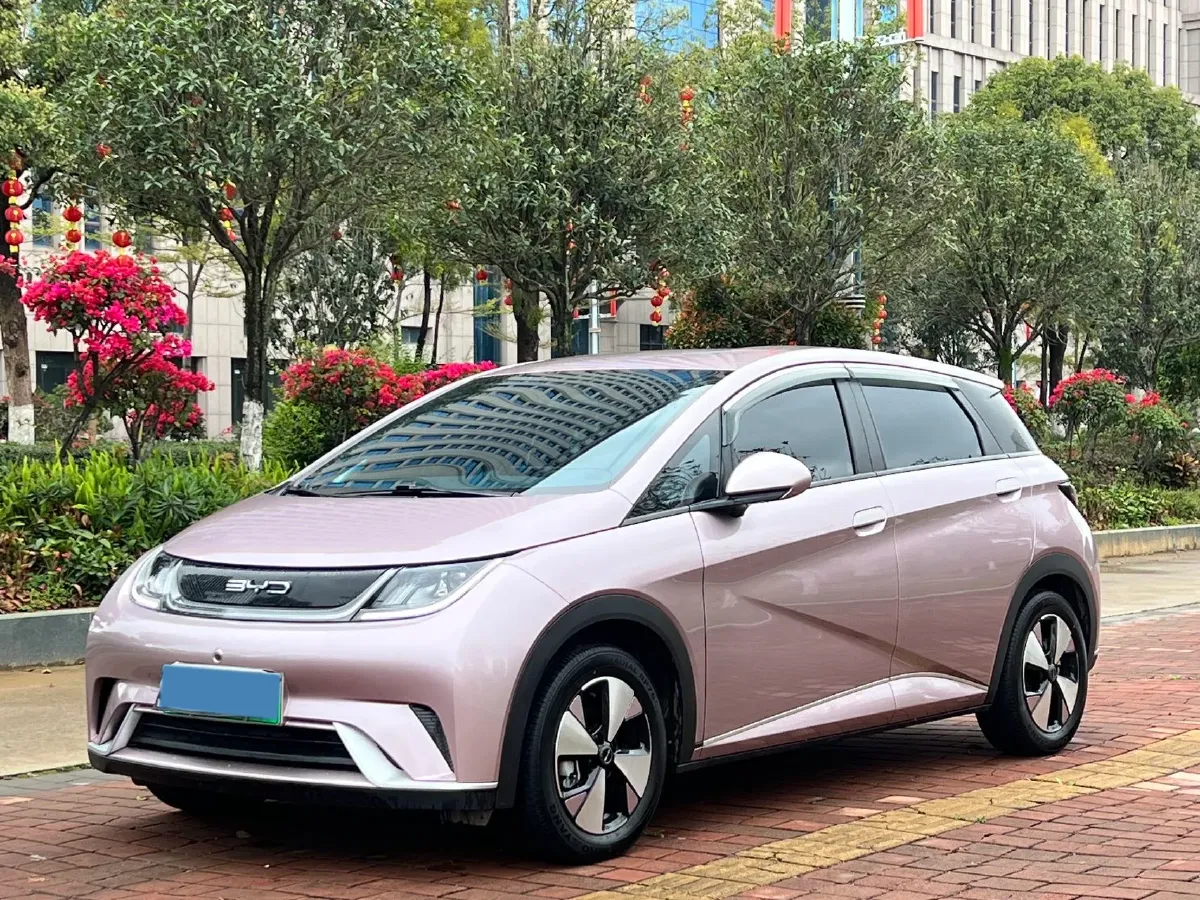 2023 BYD Dolphin BEV 44.928KWH,autocango,china used car exporter,china ev exporter,chinese used car exporter,chinese used ev exporter