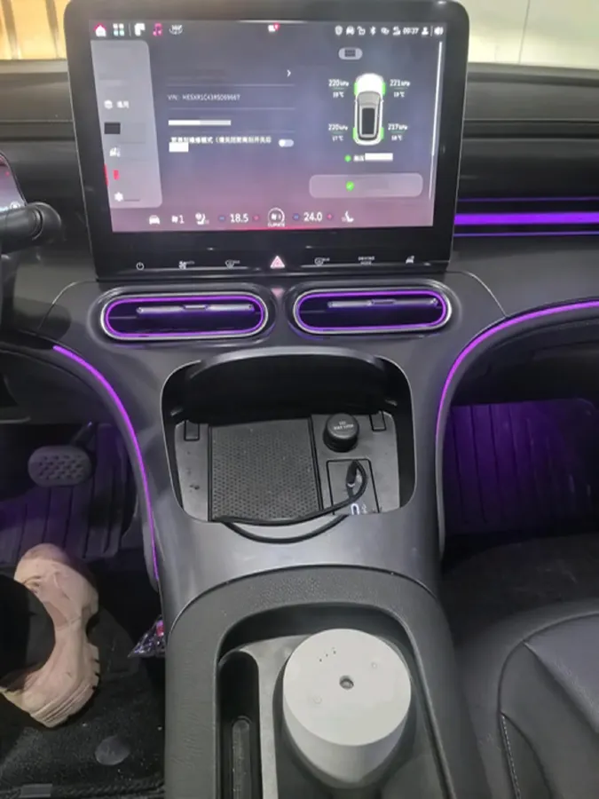 2024 Smart smart Elf 1 BEV 49KWH,autocango,china used car exporter,china ev exporter,chinese used car exporter,chinese used ev exporter