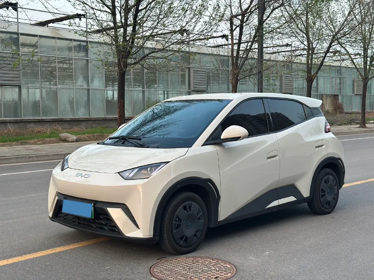 2025 BYD Seagull BEV 30.08KWH,autocango,china used car exporter,china ev exporter,chinese used car exporter,chinese used ev exporter