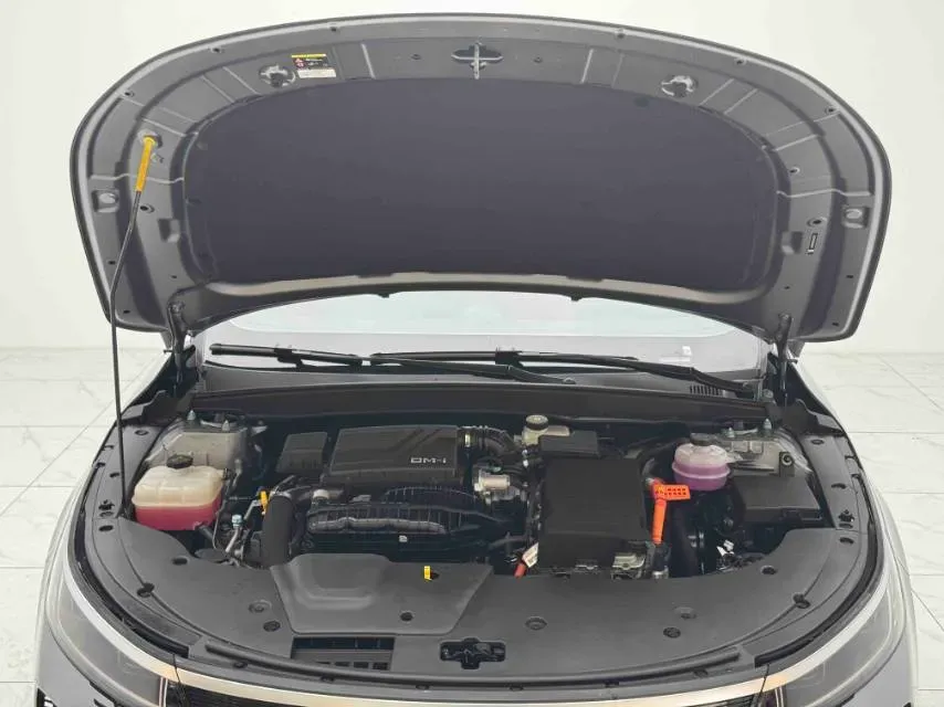 2024 BYD Destroyer 05 1.5L 110HP L4 E-CVT PHEV 8.3KWH,autocango,china used car exporter,china ev exporter,chinese used car exporter,chinese used ev exporter