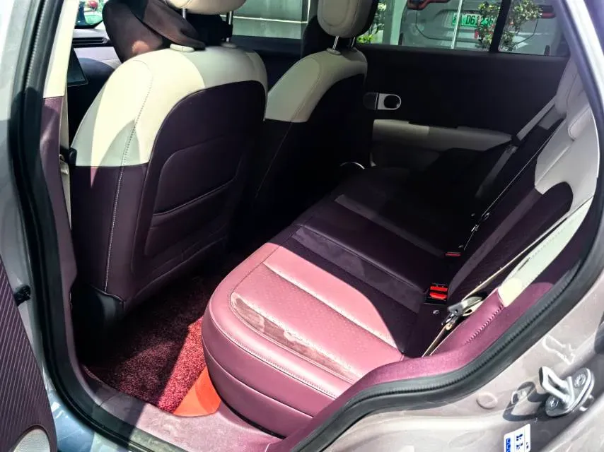 2025 Firefly Firefly BEV,autocango,china used car exporter,china ev exporter,chinese used car exporter,chinese used ev exporter