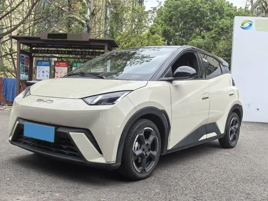 2024 BYD Seagull BEV 30.08KWH,autocango,china used car exporter,china ev exporter,chinese used car exporter,chinese used ev exporter