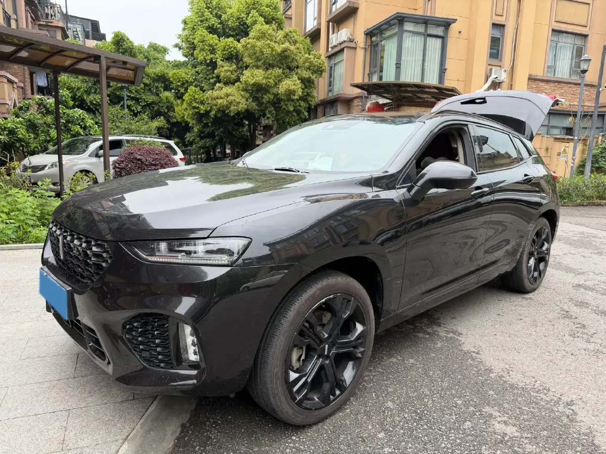 2017 WEY VV7 2.0T 234HP L4 7DCT,autocango,china used car exporter,china ev exporter,chinese used car exporter,chinese used ev exporter