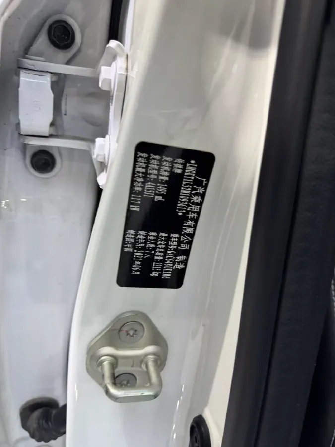 2021 GAC Trumpchi M6 1.5T 169HP L4 7DCT,autocango,china used car exporter,china ev exporter,chinese used car exporter,chinese used ev exporter