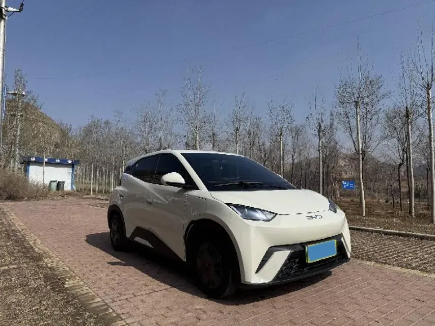 2025 BYD Seagull BEV 30.08KWH,autocango,china used car exporter,china ev exporter,chinese used car exporter,chinese used ev exporter