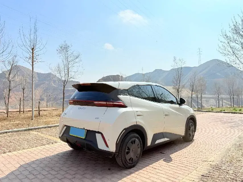 2025 BYD Seagull BEV 30.08KWH,autocango,china used car exporter,china ev exporter,chinese used car exporter,chinese used ev exporter