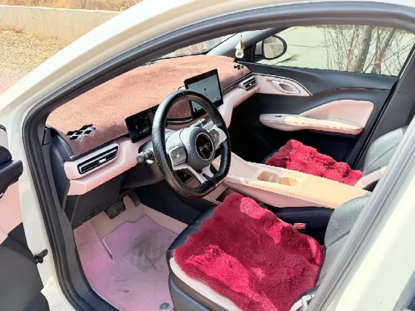 2025 BYD Seagull BEV 30.08KWH,autocango,china used car exporter,china ev exporter,chinese used car exporter,chinese used ev exporter