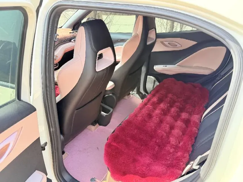 2025 BYD Seagull BEV 30.08KWH,autocango,china used car exporter,china ev exporter,chinese used car exporter,chinese used ev exporter