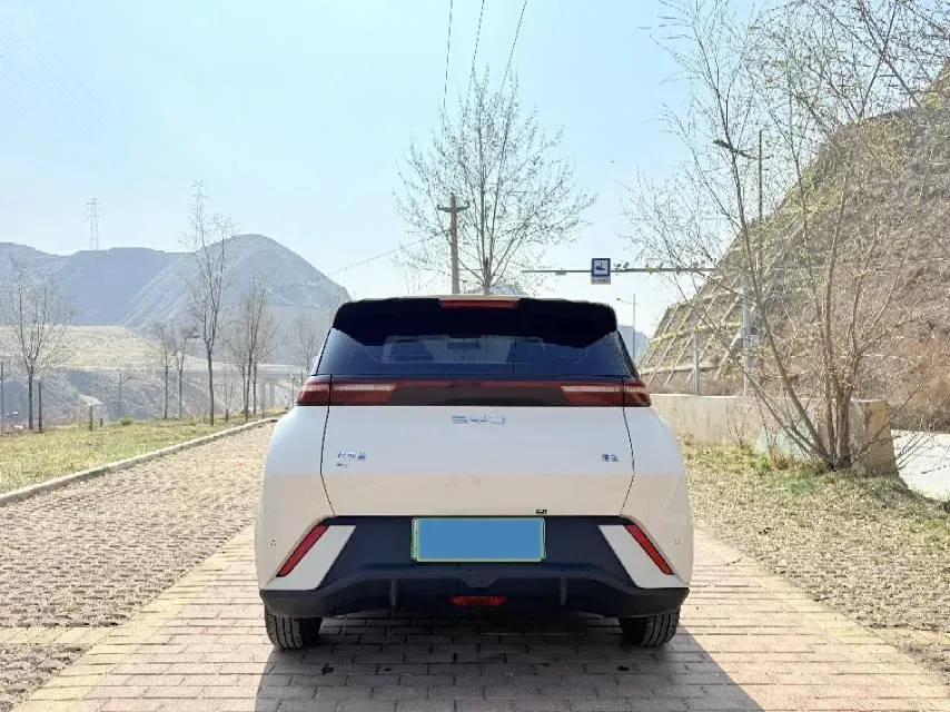 2025 BYD Seagull BEV 30.08KWH,autocango,china used car exporter,china ev exporter,chinese used car exporter,chinese used ev exporter