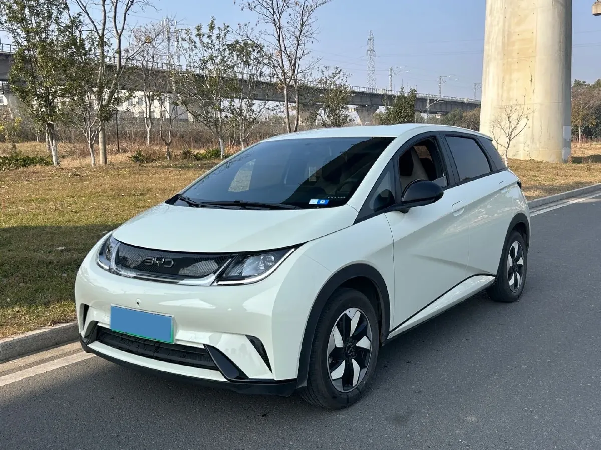2025 BYD Dolphin BEV 44.928KWH,autocango,china used car exporter,china ev exporter,chinese used car exporter,chinese used ev exporter